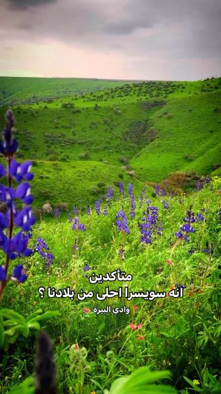متأكدين انه سويسرا احلى من بلادنا ؟
تصوير  خلال شروق الشمس من وادي البيرة بأرض الوطن 
.
.
.
#جمال #طبيعة...