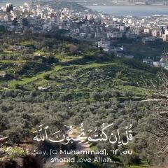 في جبال طوباس وجنين 🌳 ونهاية غروب مع ثعلوب في نابلس.
📸📸 @alainthewild 
@palestine1.a 
—-
#nablus #jenin #tubas #طوباس #جنين #نابلس...