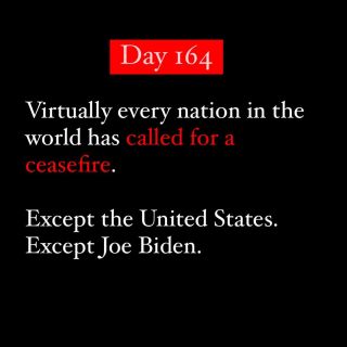 (Un)Committed. 
Protest Vote. 
Whatever. 

Never Joe Biden.

A vote for Biden is a vote for Genocide. 

#vote #2024