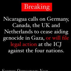 The Global South rises again. 

Nicaragua ðŸ‡³ðŸ‡® puts these 4 enabling nations on notice.