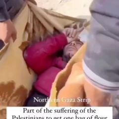The occupation forces opened fire on Palestinians who were waiting for the arrival of the humanitarian convoy to the north of Gaza. 

قوات الاحتلال تطلق النار تجاه...