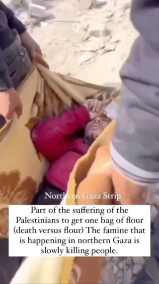 The occupation forces opened fire on Palestinians who were waiting for the arrival of the humanitarian convoy to the north of Gaza. 

قوات الاحتلال تطلق النار تجاه...