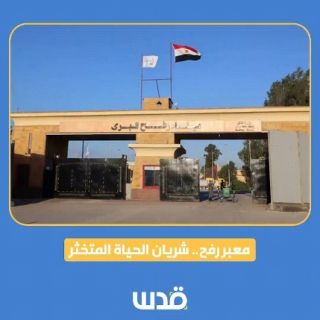 تغطية صحفية: شريان الحياة لقطاع غزة "مُغلق"! لماذا لا يُفتح معبر رفح بشكل دائم؟

#مصر #غزة #السيسي